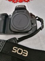 Canon EOS 30 analog mit Blitzlicht und Tasche Brandenburg - Cottbus Vorschau