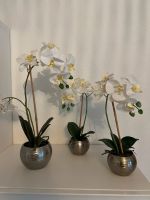 Orchidee, künstliche Blume, Pflanze, real touch Dresden - Blasewitz Vorschau