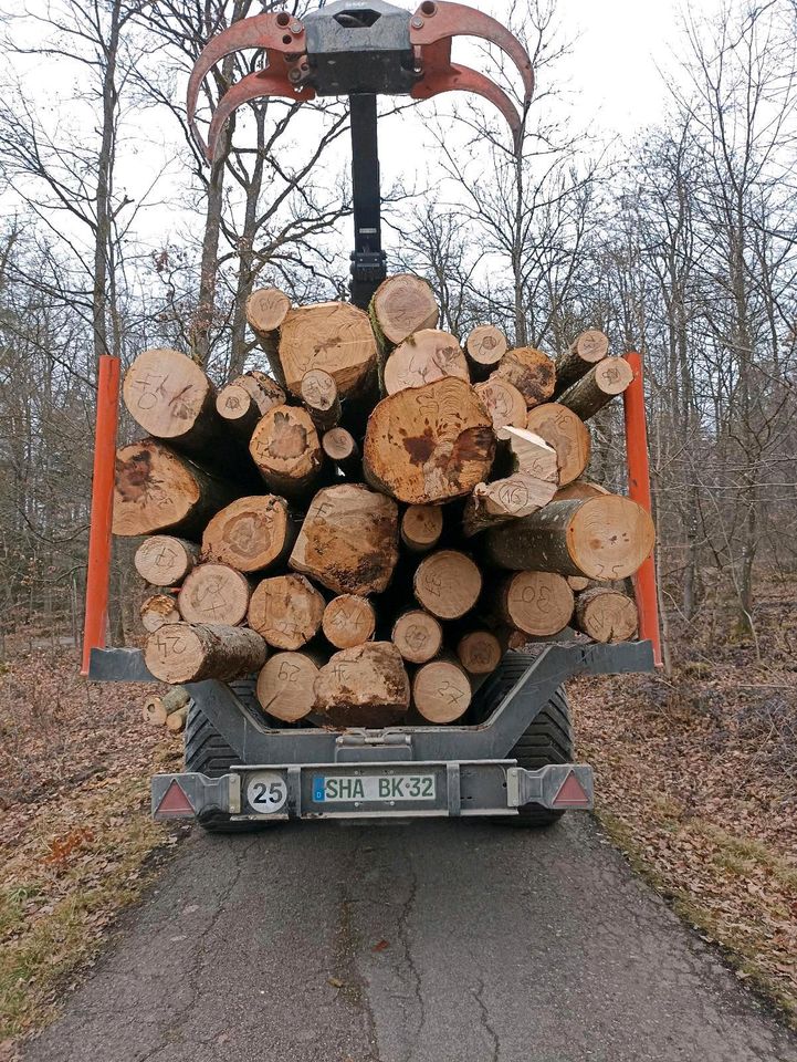 Verkaufe Stammholz Hartholz Weichholz Brennholz BucheEicheFichte in Kreßberg