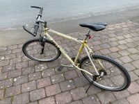 Fahrrad Focus Hessen - Petersberg Vorschau