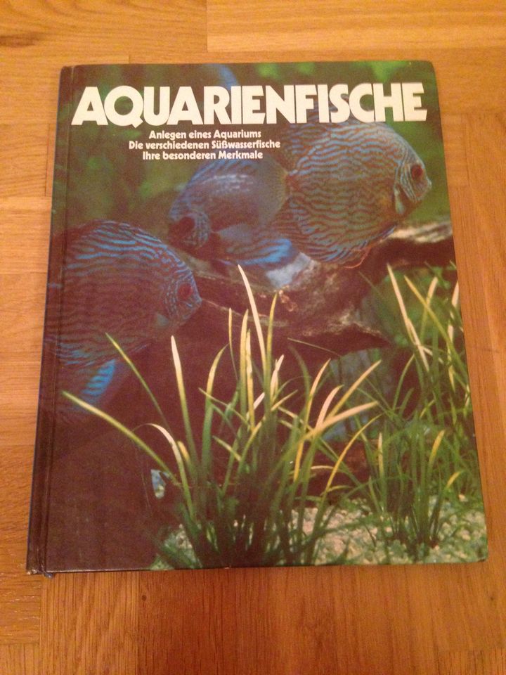 Aquarium Zubehör Filter, Treibholz, Buch in Viersen