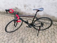 Carver Evolution 110 Rennrad Rheinland-Pfalz - Ludwigshafen Vorschau