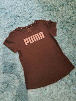 T-Shirt von Puma, Gr.36 Nordrhein-Westfalen - Warendorf Vorschau