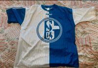 Schalke 04 Fan Shirt  Trikot Rarität XXL Niedersachsen - Langwedel Vorschau