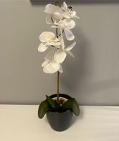 Künstliche Orchidee weiß mit Blumentopf TOP Nordrhein-Westfalen - Kempen Vorschau