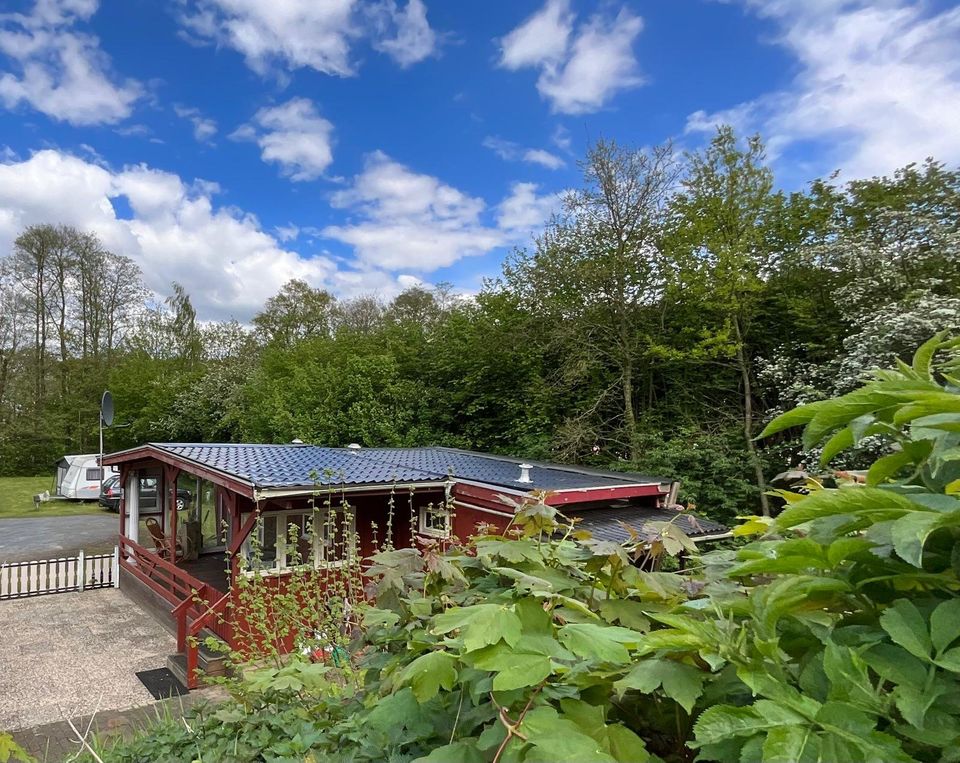 Tiny House Mobilheim Ferienhaus möbliert, Dachbleche, Massivholz in Lorup