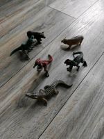 Schleich  Tiere Dinos Schleswig-Holstein - Neumünster Vorschau