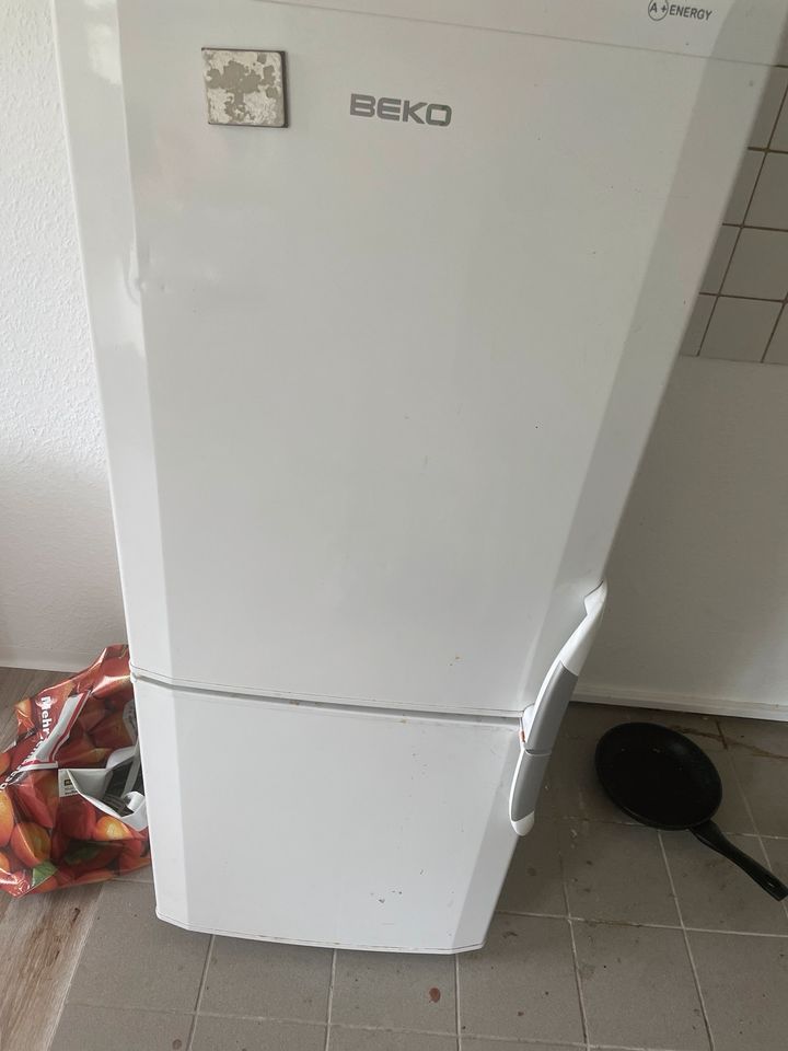 Beko Kühlschrank mit Gefrierfach in Cottbus