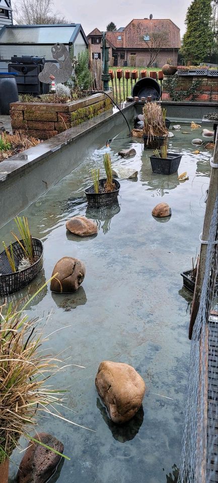 schöner Garten Tobias Veit Gärtner Gartenarbeit schneiden in Goch