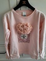 Lin Art Concept Pullover, Gr. M, rosa Hamburg-Nord - Hamburg Groß Borstel Vorschau