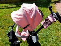 Kinderkraft Aveo Dreirad 6 in 1 Jogger rosa ab 9 Monate bis 24 kg Nordrhein-Westfalen - Porta Westfalica Vorschau