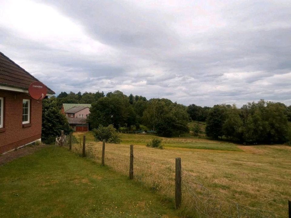 Großes Haus in Panker-Gadendorf für Großfamilie oder mit sep. Whg in Panker