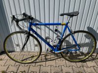 Rennrad Retro Concorde Ultegra Look Carbon Bayern - Illertissen Vorschau