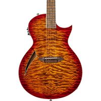 ESP LTD TL-6 Westerngitarre Kr. München - Putzbrunn Vorschau