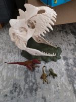 Schleich, Dinosaurier Kopf mit Figuren Nordrhein-Westfalen - Hennef (Sieg) Vorschau