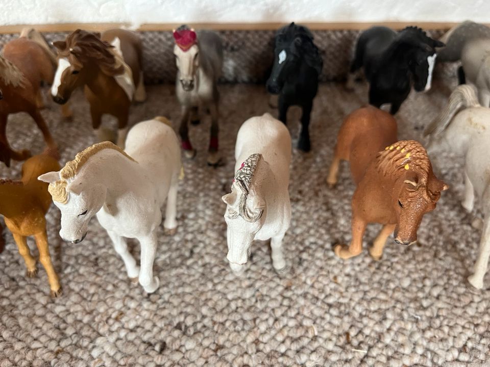 Schleich Pferde in Menden