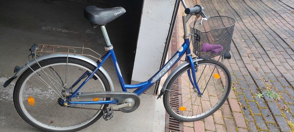 Damen Fahrrad City Bike in gutem Zustand in Edingen-Neckarhausen
