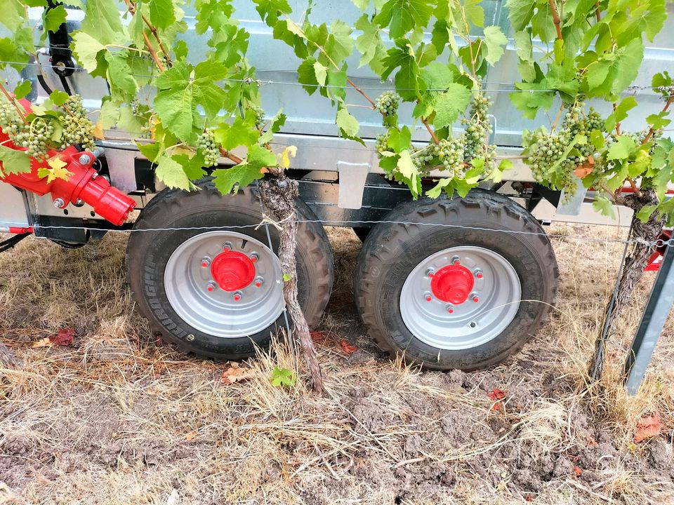 Weinbergstreuer Kompoststreuer für Weinbau Obstbau Hopfenbau in Markt Nordheim