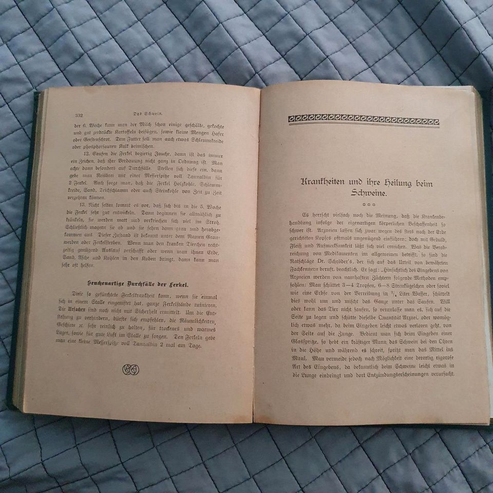 Handbuch der Tierheilkunde,  1899 - 1909?) in Landsberg (Lech)