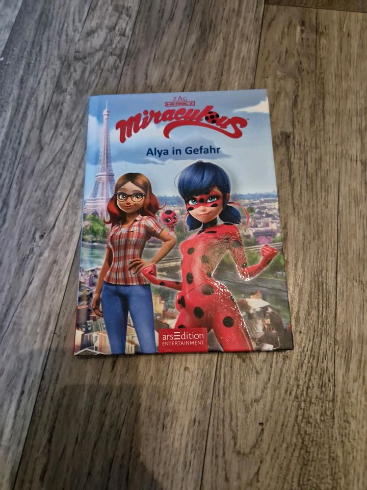 Miraculous Alya in Gefahr Ladybug Buch in Rehlingen-Siersburg