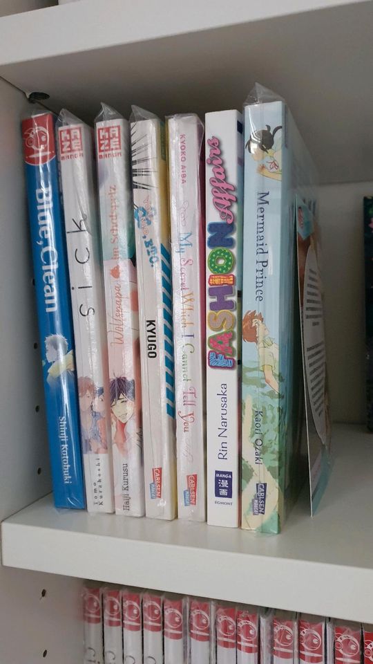 Mangasammlung, Mangas, Manga in Potsdam
