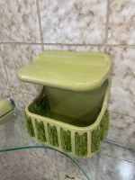 Ablage moosgrün Bad Dusche WC colani grün oliv 70er Hessen - Groß-Gerau Vorschau