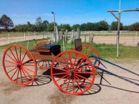 Kutsche Westernbuggy Schleswig-Holstein - Escheburg Vorschau