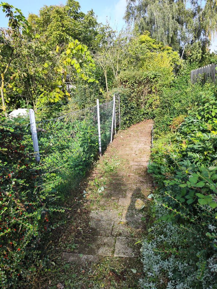 Helfende Hände im Garten  KT Das Hausmeister Duo in Pattensen