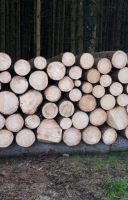 Brennholz Stammholz Fichte 1m, 50cm, oder 33cm, rund Bayern - Denklingen Vorschau
