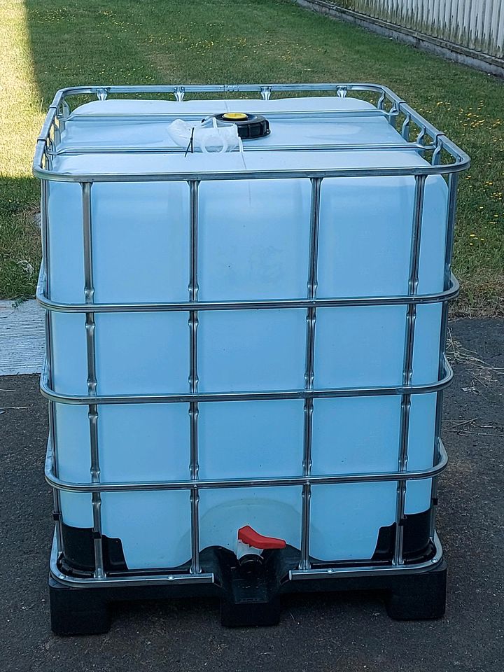 1000l IBC Container   Fass in Hachenburg