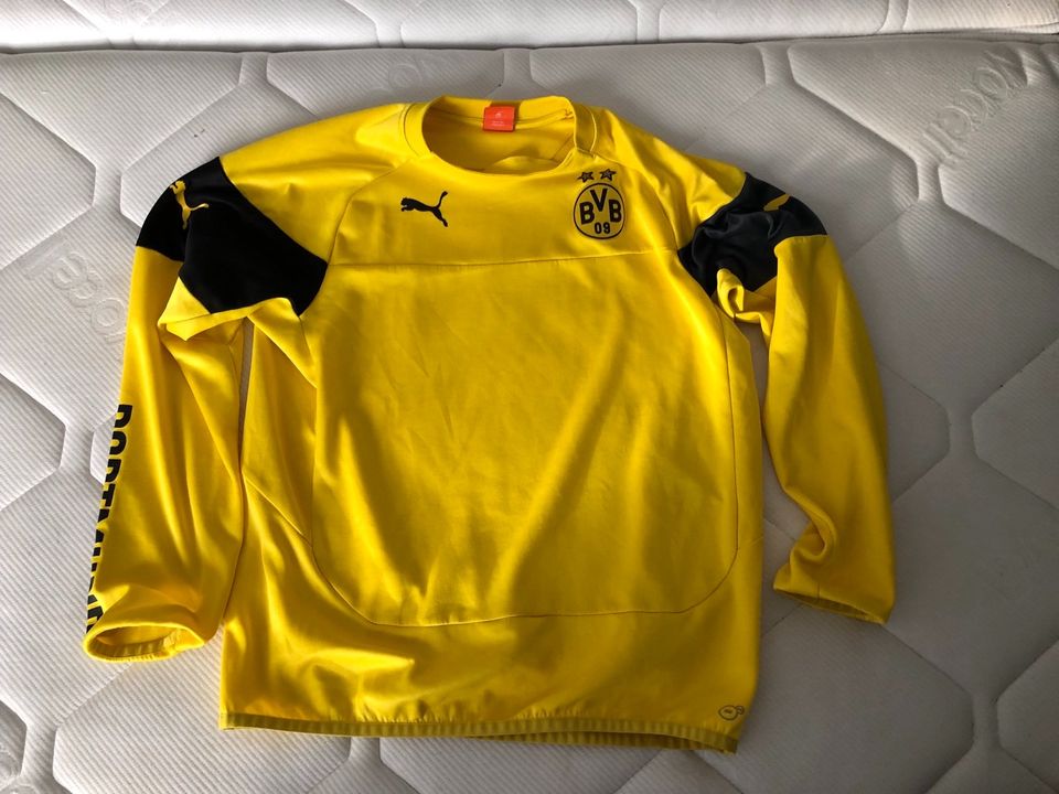 BVB Trainings-Shirt Gr.L in Wangerland