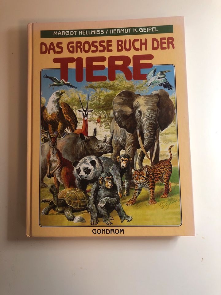 Tier und Dino Bücher für Kinder in Struppen