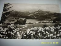 Alte Postkarten Weißensee mit Blick auf/ Allgäu Bayern - Ruderatshofen Vorschau