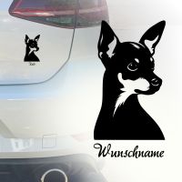 Auto Aufkleber | Zwergpinscher | Personalisiert Wunschname Car Köln - Köln Merheim Vorschau