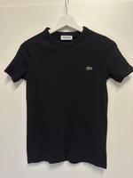 Lacoste T-Shirt Gr. S  neuwertig Nordrhein-Westfalen - Gütersloh Vorschau