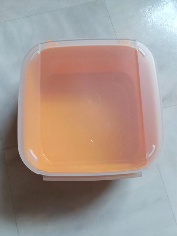 Tupperware Eidgenosse 1,2 Liter Inhalt in Bestwig