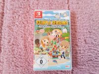 Story of Seasons: Pioneers of Olive Town Bayern - Arnstein Vorschau