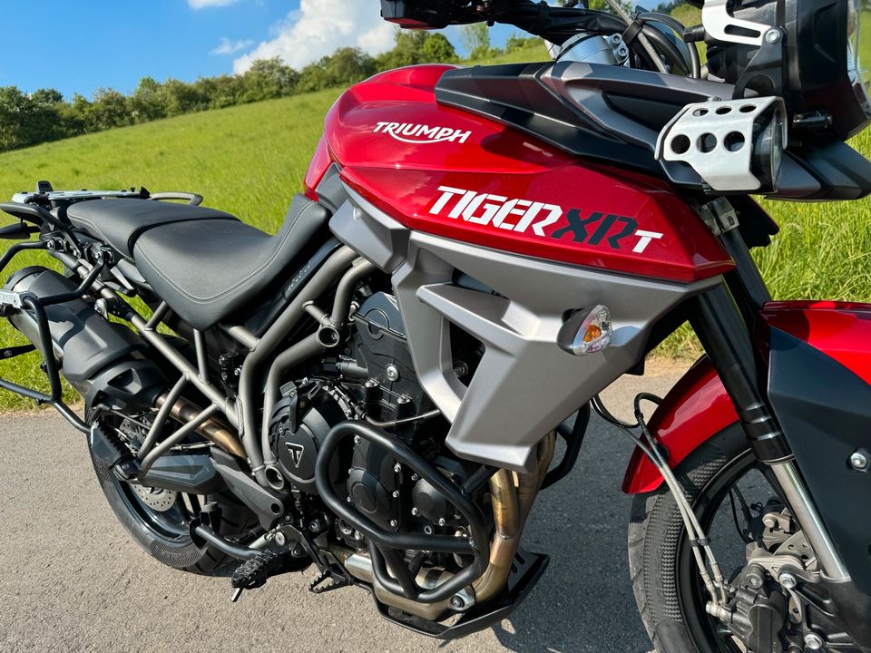 TRIUMPH TIGER 800 XRT Alu Koffer in Höxter