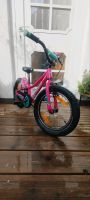 Specialized Riprock 16zoll Kinder Fahrrad MTB Nordrhein-Westfalen - Brühl Vorschau