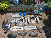 Suzuki GSX-R 1000 K5 K6 / Verkleidung / Teile Rheinland-Pfalz - Worms Vorschau