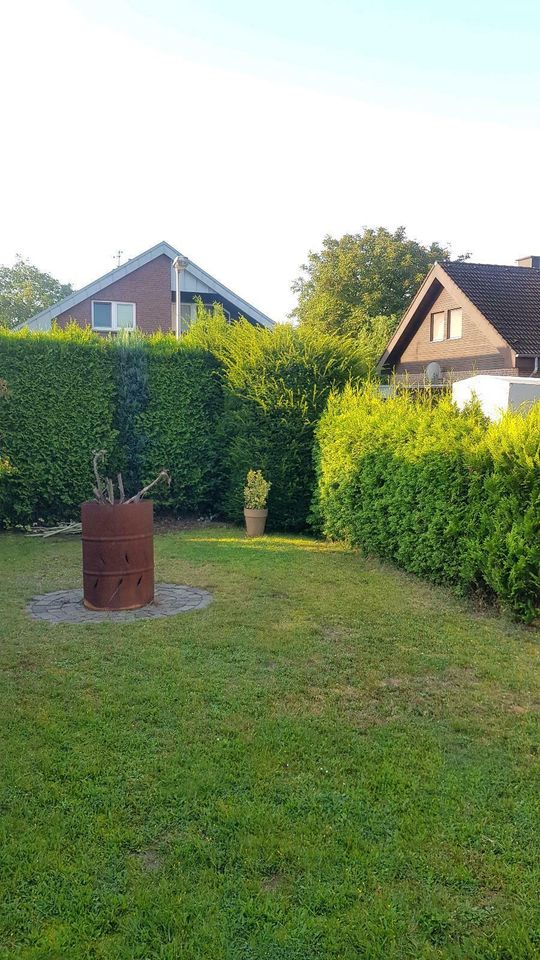 Sträucher schneiden Hecke Garten Weißdorn liguster Lorbeerschnitt in Goch