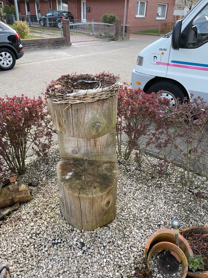 Baumstamm mit Aussparung, Gartendeko Laternenpfahl Blumendeko in Garrel