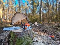 Forstdienstleistungen, Holzeinschlag, Holz rücken, Heckenpflege Bayern - Breitengüßbach Vorschau