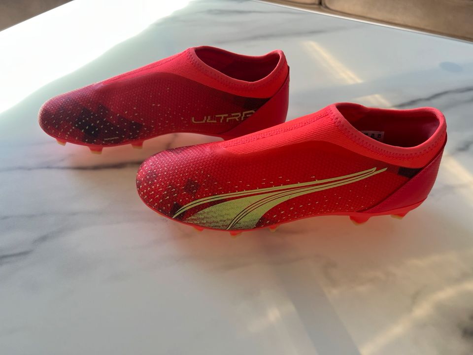 Puma Fußballschuhe für Jungs Gr 38, Neuwertig in Lauf a.d. Pegnitz