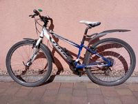 Fahrrad Stevens Kid Sport 24“, guter gebrauchter Zustand Dresden - Dresden-Plauen Vorschau