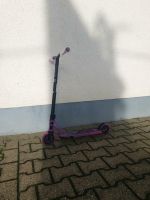 ❗MGXPro  MGP Scooter, Neu❗ Nordrhein-Westfalen - Hennef (Sieg) Vorschau