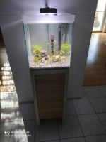 Aquarium Würfel mit Unterschrank Hessen - Griesheim Vorschau