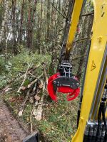 Energieholzernte Baumschere Fällgreifer Rodung Waldrandpflege Bayern - Dingolfing Vorschau