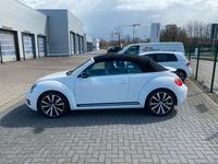 Volkswagen Beetle 1.4 TSI DSG Sport Cabriolet Sport Buchholz-Kleefeld - Hannover Groß Buchholz Vorschau