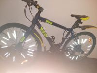 Amigo Crossrad 21 Gänge Shimano Schaltung Nordrhein-Westfalen - Werther (Westfalen) Vorschau